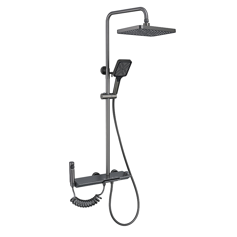 Gun Metal Exposed Shower